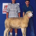 Reserve Champion Ewe National Junior Show - Owned by Aaron - 1997