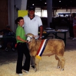 Reserve Champion Ram National Junior Show - 2003