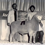 National Champion Ram at National Show in Kansas City, Mo and Loiusville - 1981