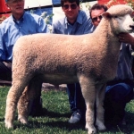 2nd Fall Ram National Sale - 1991